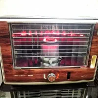 بخاری تیوست نفتی ژاپنی(انواع بخاری ژاپنی نفتی)