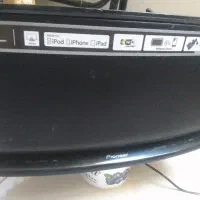 اسپیکر اصلی پایونیر