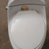 توالت فرنگی