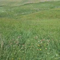 نیازمند کار م