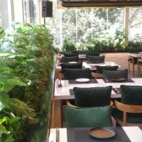 نیروی خدماتی ( ظرفشور و نظافتچی)