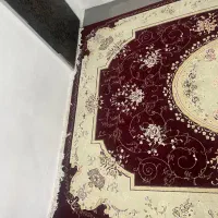 فرش ۶متری|فرش|رضوانشهر, |دیوار
