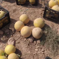 شهر الوان خسرج