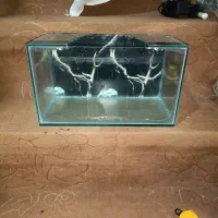 آکواریوم به همراه بخاری و فیلتر آب