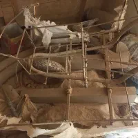 گاری برای سمپاشی