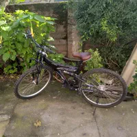 سالار جاده ها