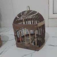 قفس|لوازم جانبی حیوانات|جوانرود, |دیوار