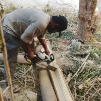 هرس در منزل ودرست کردن باغچه کاشت گل نهال درمنزل