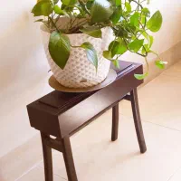 زیر گلدانی|حراج|اصفهان, جلالیه|دیوار