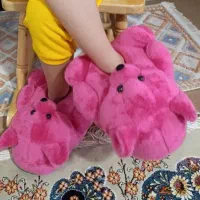 پاپوش خرس پاگنده|کفش و لباس بچه|تبریز, |دیوار