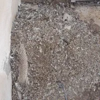 فروش کود کفتر چاهی|خدمات باغبانی و درختکاری|آبیک, |دیوار