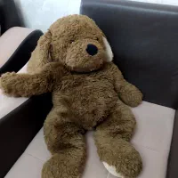 خرس عروسکی|اسباب‌‌بازی|تبریز, |دیوار