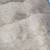 پالتو|لباس|نسیم‌شهر, |دیوار