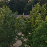 فروش باغ شهری|فروش دفتر صنعتی، کشاورزی، تجاری|مرودشت, رامجرد یک|دیوار