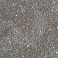 بذرپیازقرمزدستگیر۳۵۰