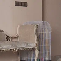 عروس هلندی