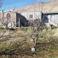 مرغداری5000قطعه ای|فروش دفتر صنعتی، کشاورزی، تجاری|موچش, |دیوار