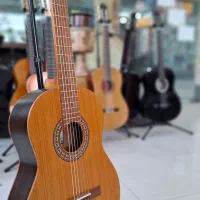 گیتار آموزشی و حرفه ای|گیتار، بیس، امپلیفایر|مشهد, الهیه|دیوار