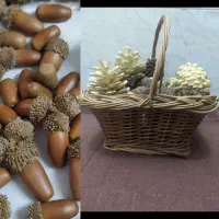 سبد حصیری کاج و بلوط   یلدا