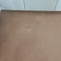 موکت