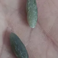 فروش مهره طبیعی و اعجوبه