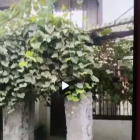 اجاره-خانه-درمحیطی-ارام-وسرسبز
