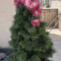 درخت کریسمس