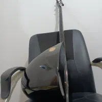 ساز دیوان حرفه‌ای|سازهای سنتی|سنندج, |دیوار