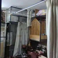 پرنده زینتی|پرنده|تهران, جوانمردان (اندیشه)|دیوار