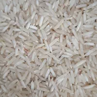 برنج فجر نوراباد