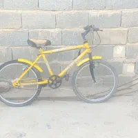 دوتا پسر داشتیم حیاط پراز دوچرخه شده