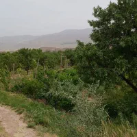 باغ غرق آباد شرایطی