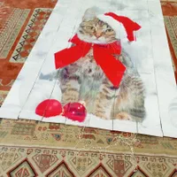 پرده کرکره ای اتاق خواب|پرده، رانر، رومیزی|اهواز, حصیرآباد|دیوار
