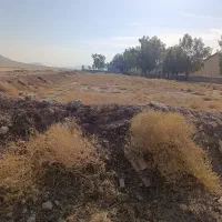 زمین-300-متری-پلفسا