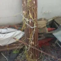 چوب|ابزارآلات|اصفهان, ارغوانیه|دیوار
