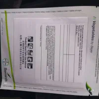 بذر خیار مکزیک