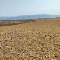 فروش زمین کشاورزی دیم|فروش دفتر صنعتی، کشاورزی، تجاری|میانه, |دیوار