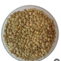 200کیلوعدس تمیز و خوشپخت‌.270