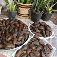ترشی خانگی|خوردنی و آشامیدنی|جم, |دیوار
