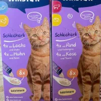 بستنی گربه وینستون چهار طعم