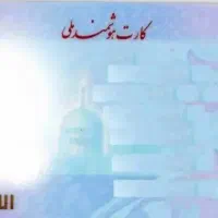 گم شدن مدارک