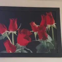 تابلودرحدنونو
