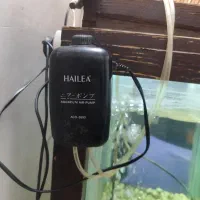 تعدادی پمپ اکواریوم