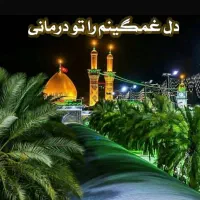 کربلا ویژه  شعبانیه ۱۲ بهمن ماه