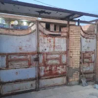 در حیات بزرگ و کوچیک