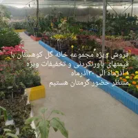 جشنواره فروش گلهای آپارتمانی وگلدان واجناس دکوری