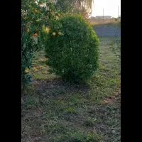 روزی شاد داشته باشیم