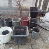 گلدان خالی پلاستیکی