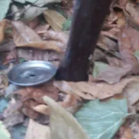 میز شیشه ای|بوفه، ویترین، کنسول|لواسان, |دیوار