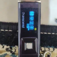 فلش.ام پی تری